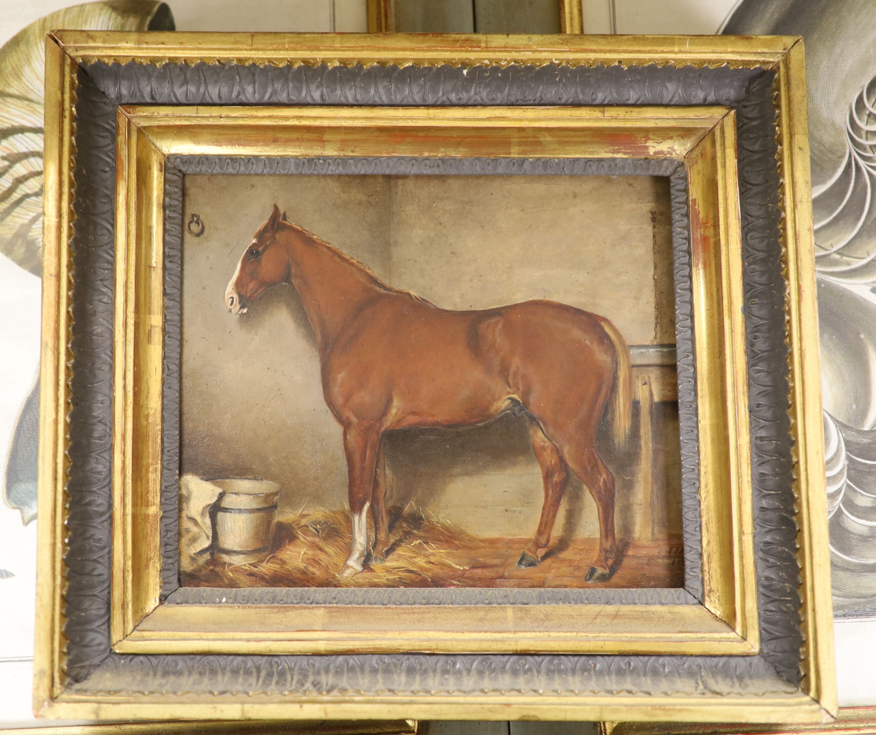J. Danson (19thC), oil on board, Study of a horse in a stable, signed and dated 1881, 18 x 22cm